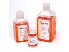 精氨酸葡萄糖斜面瓊脂（AGS） 上海實業的創新與應用